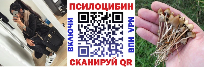 Псилоцибиновые грибы мицелий купить Магнитогорск